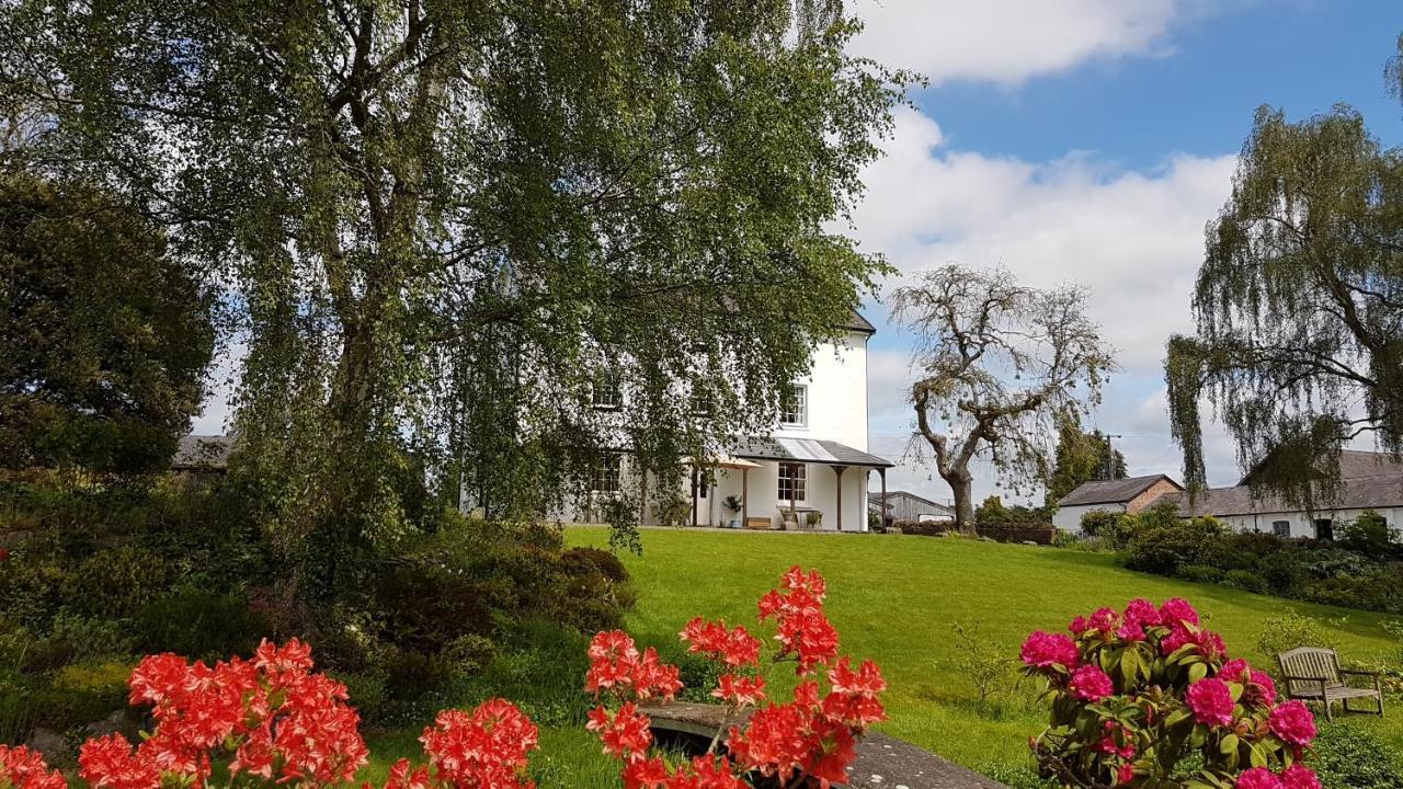 Upper Buckton B&B Leintwardine Exterior photo