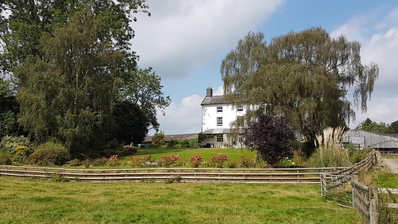 Upper Buckton B&B Leintwardine Exterior photo